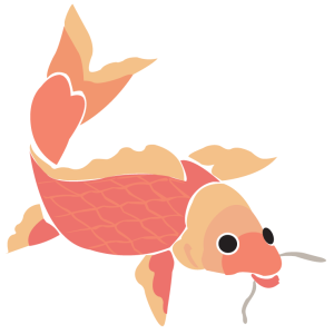 Animals Birds and Insects